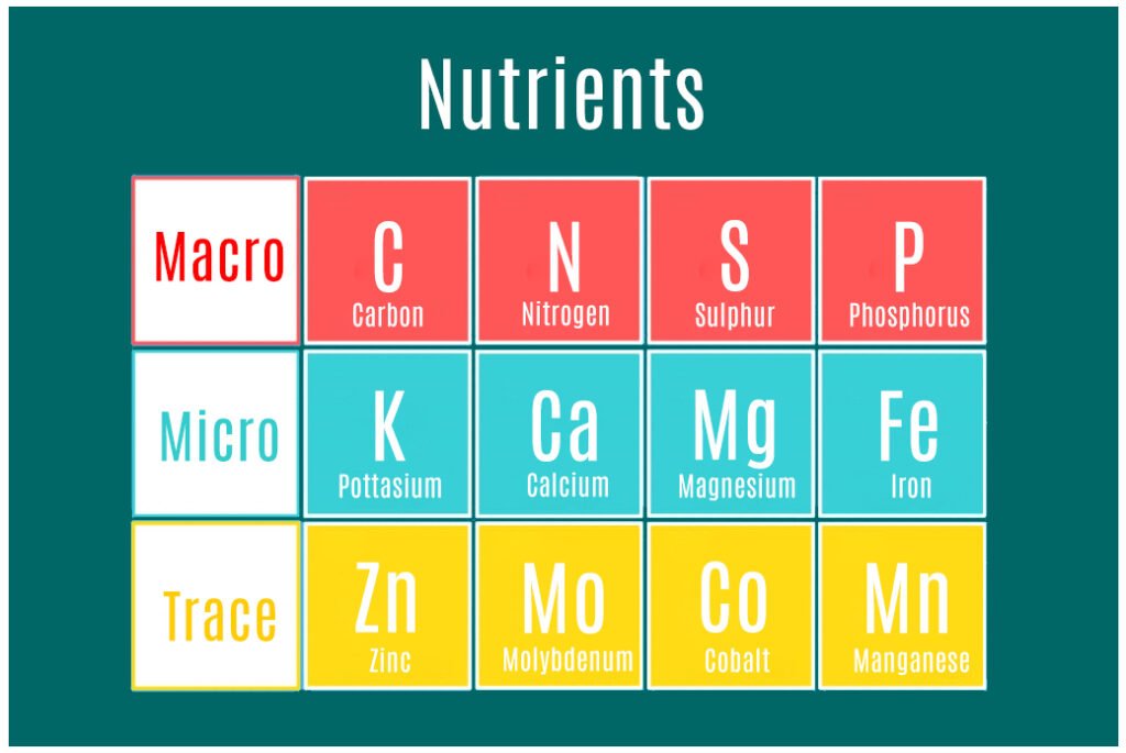 Nutrients and Media