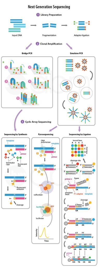 Next Generation Sequencing