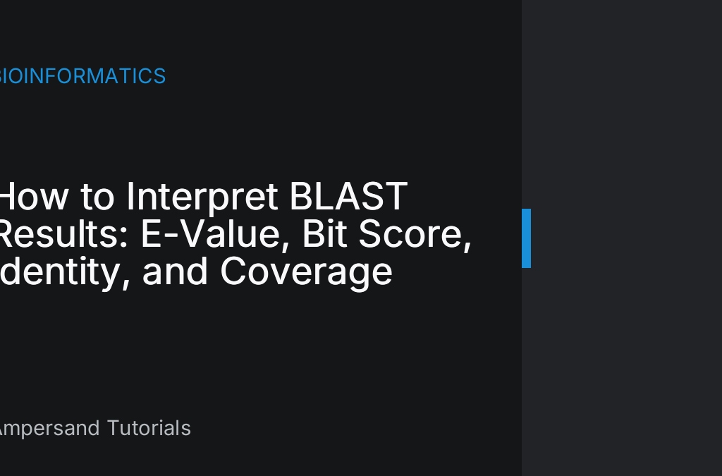 BLAST results table showing E-value, bit score, percent identity and query coverage columns against a DNA sequence