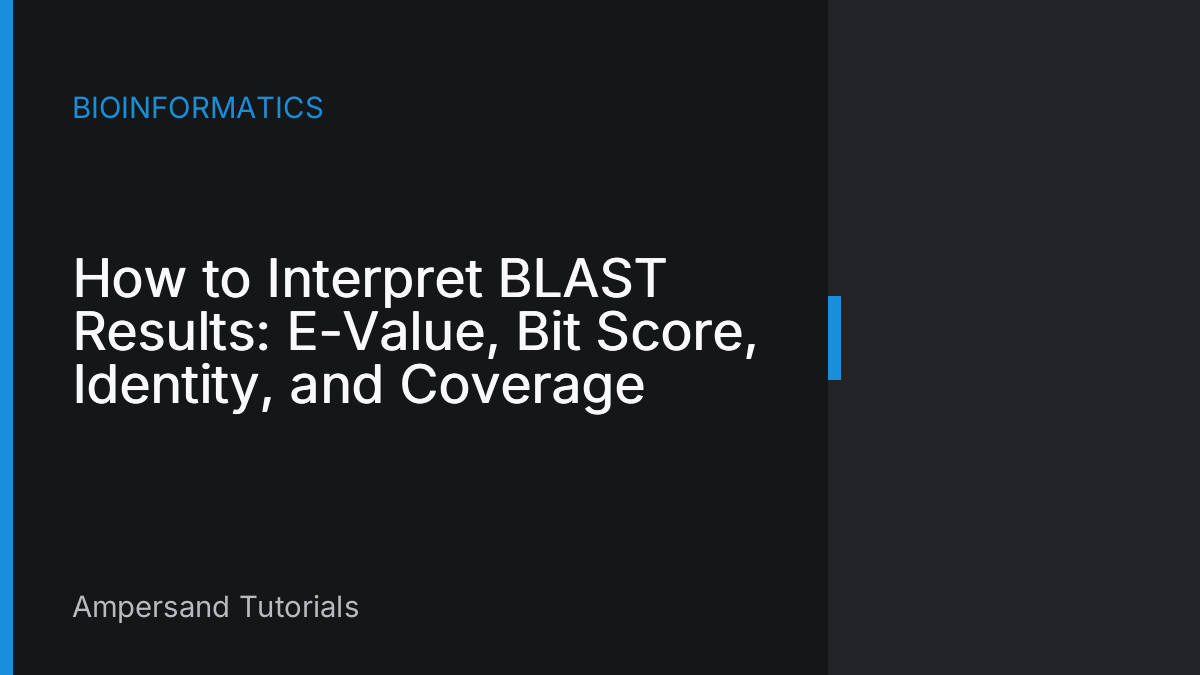 How to Interpret BLAST Results: E-Value, Bit Score, Identity, and Coverage