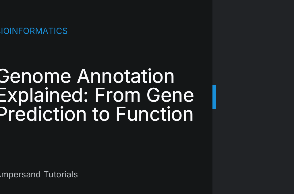 Genome annotation illustration showing predicted genes and functional elements mapped along a DNA sequence with labeled features