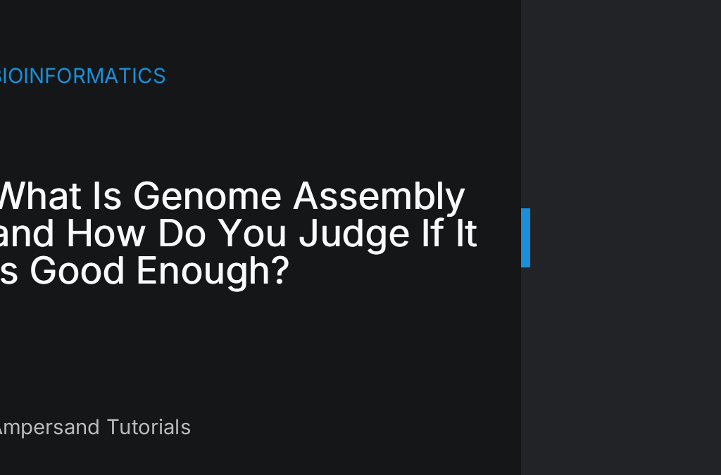 Illustration of genome assembly: overlapping sequencing reads stitched into contigs and scaffolds on a DNA chromosome