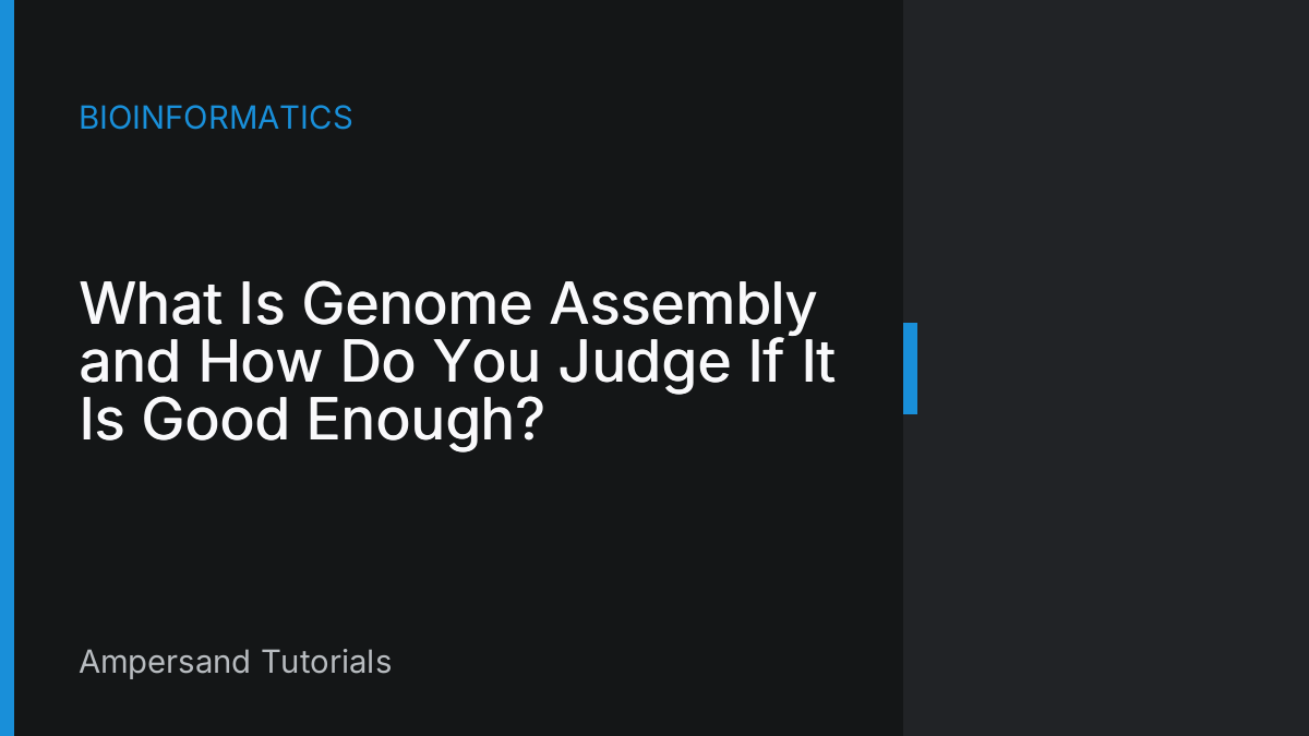 What Is Genome Assembly and How Do You Judge If It Is Good Enough?