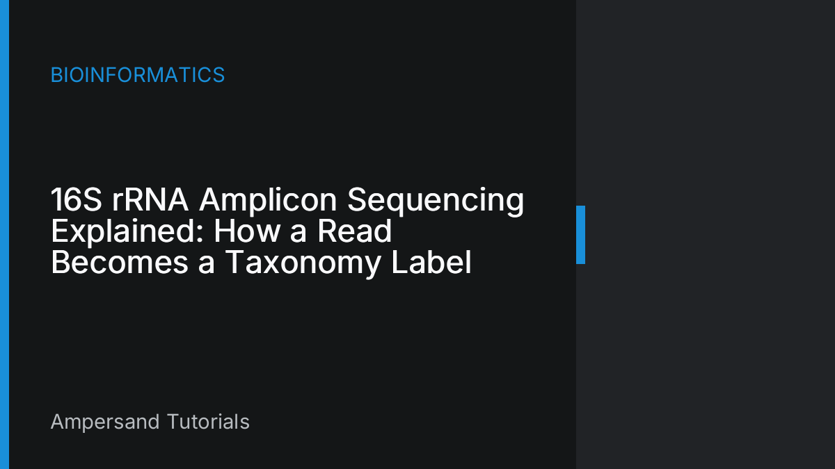 16S rRNA Amplicon Sequencing Explained: How a Read Becomes a Taxonomy Label