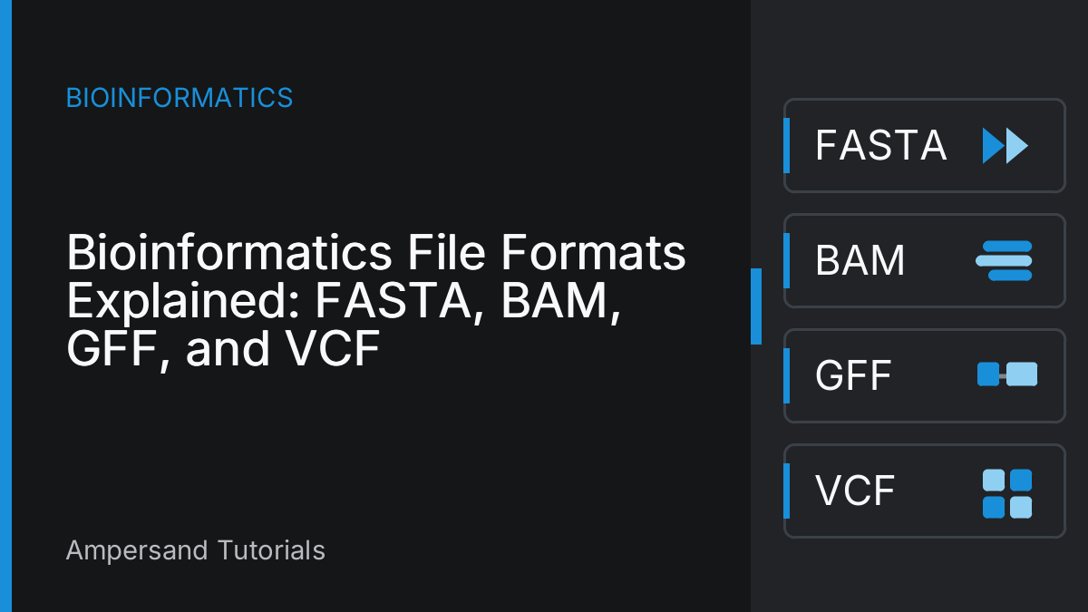 Bioinformatics File Formats Explained: FASTA, BAM, GFF, and VCF
