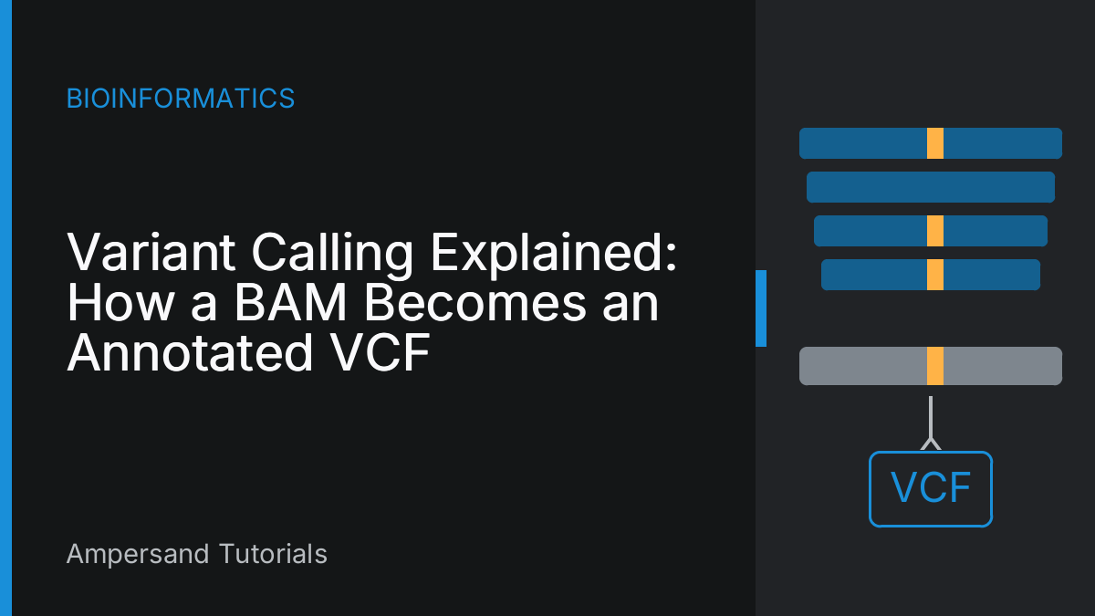 Variant Calling Explained: How a BAM Becomes an Annotated VCF