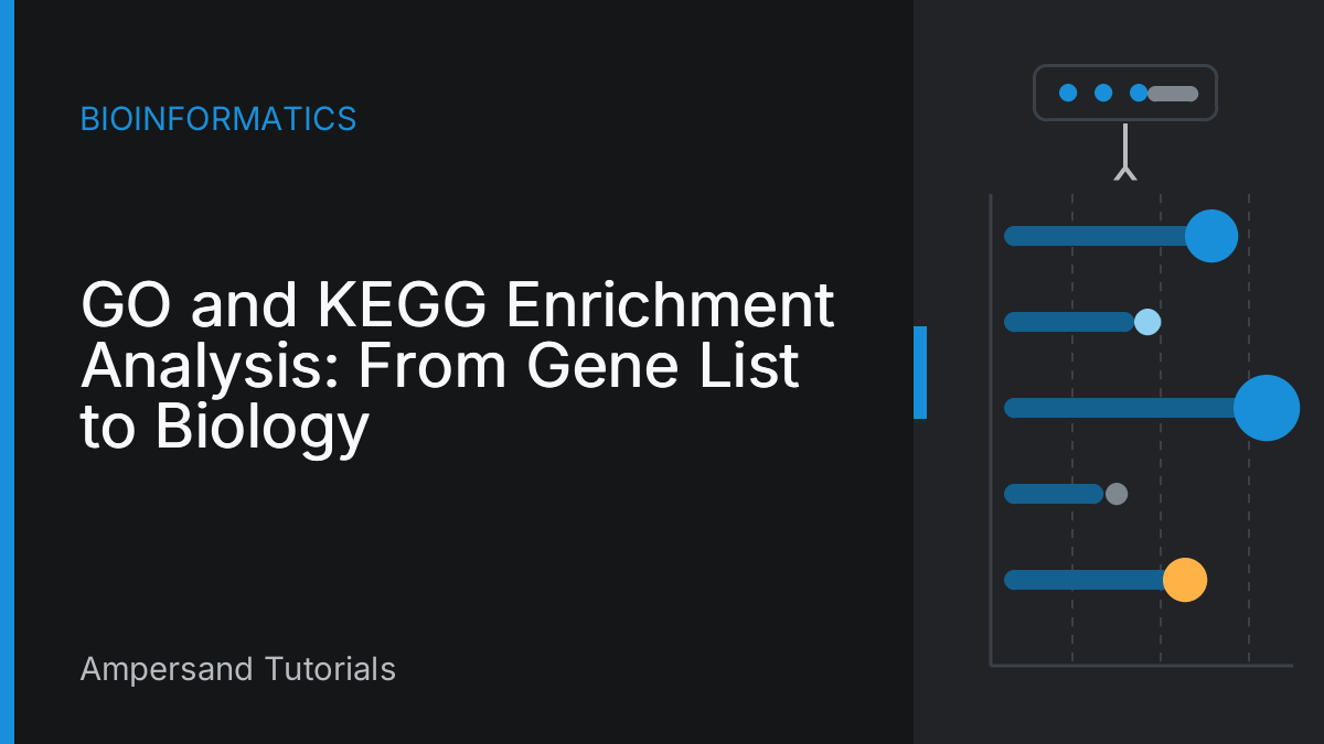 GO and KEGG Enrichment Analysis: From Gene List to Biology